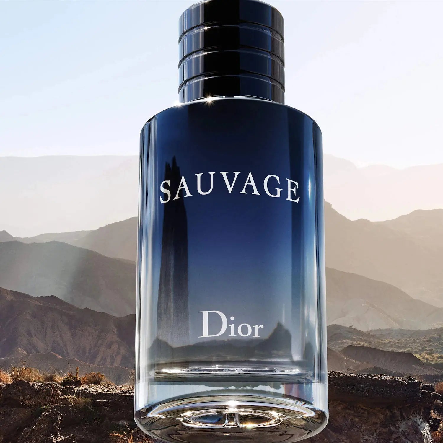 Sauvage By Dior For Men 3.4oz EDT Spray by perfumesandrea