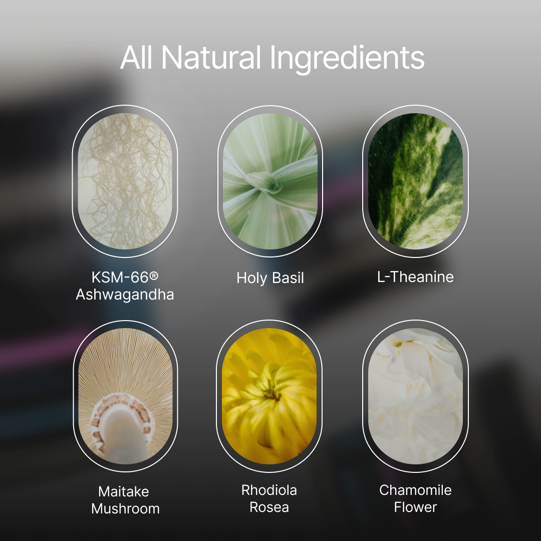 ZenX: Mood Support Nootropic by Stoned Ape, Inc