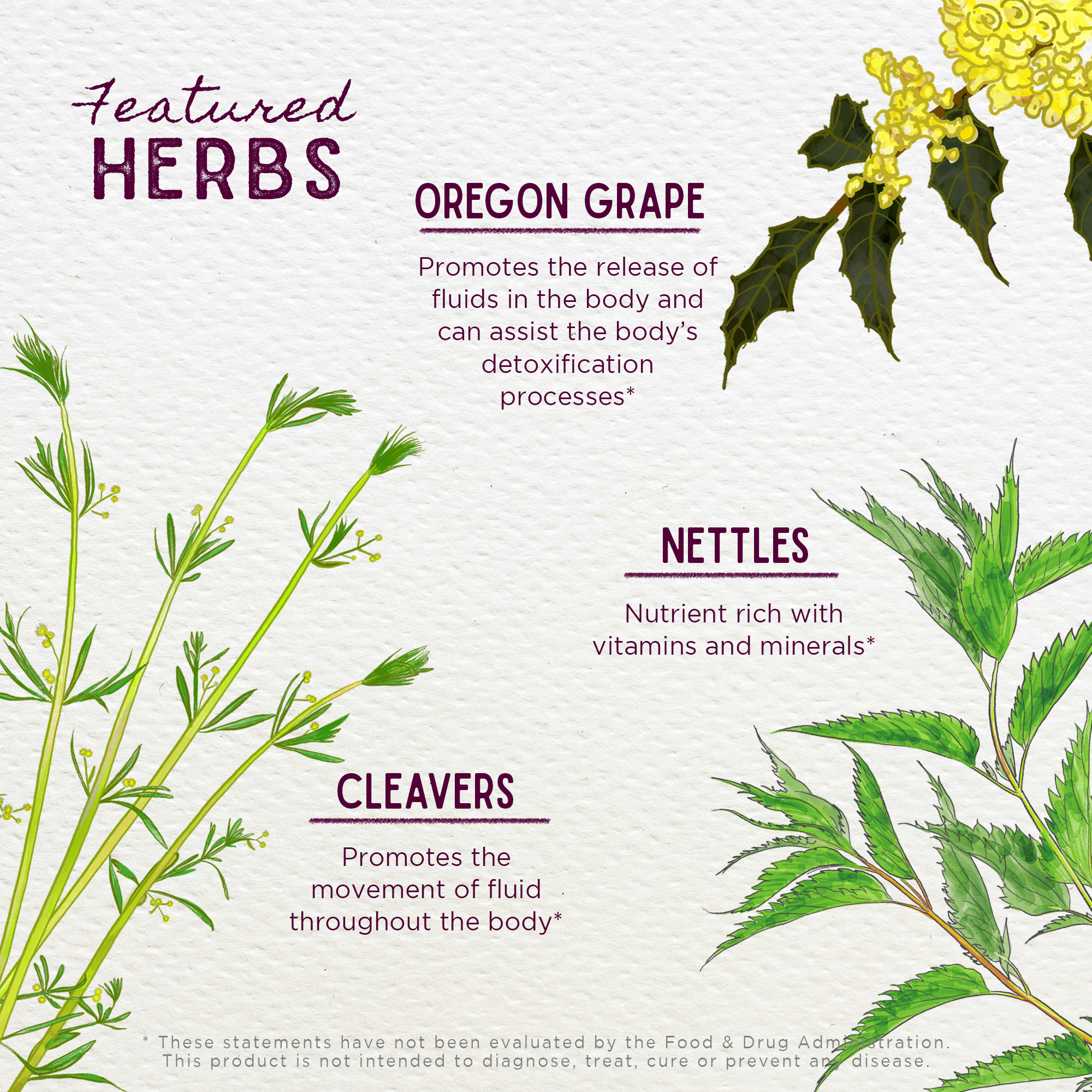 Deep Cleanse, Reset & Flourish by WishGarden Herbs