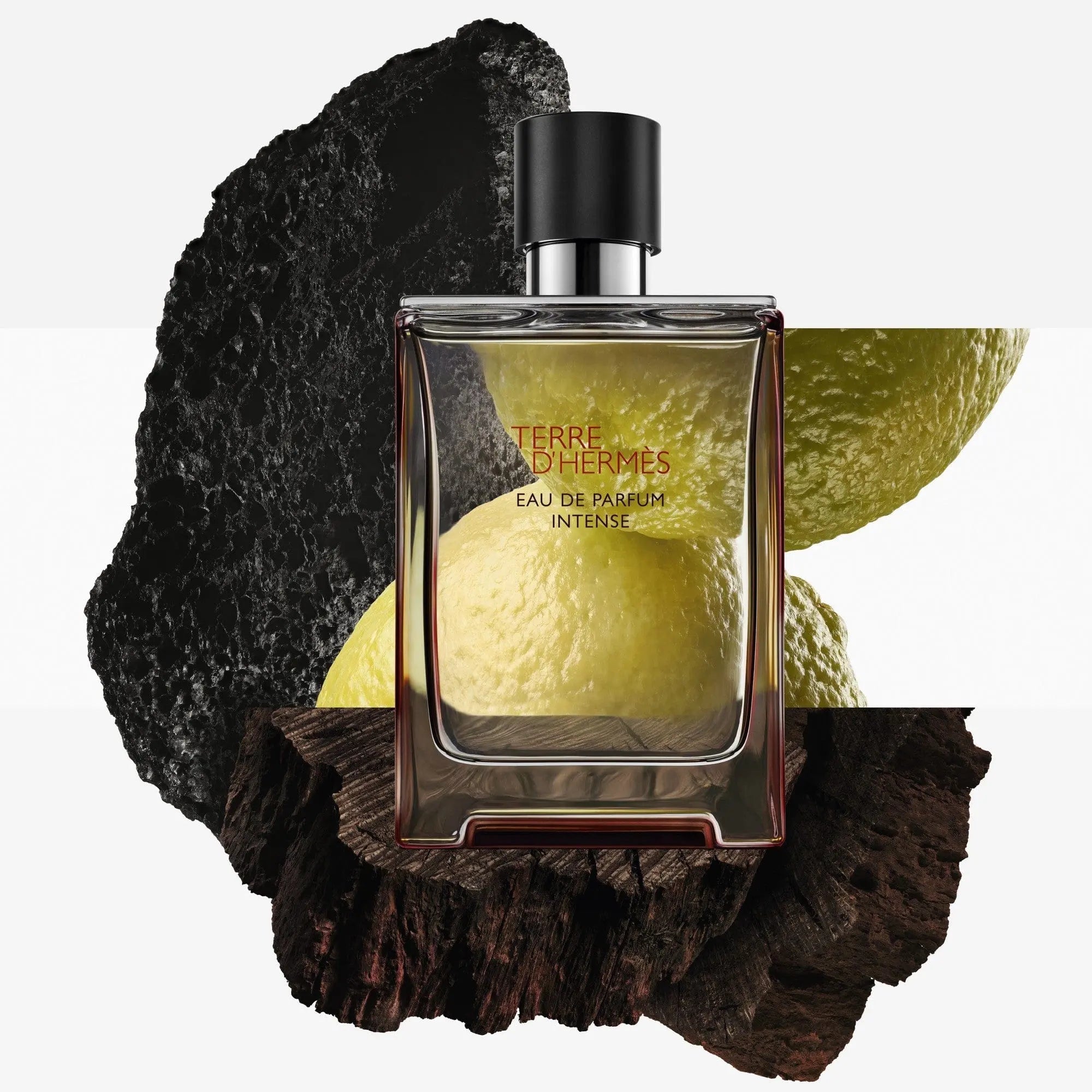 Terre D&