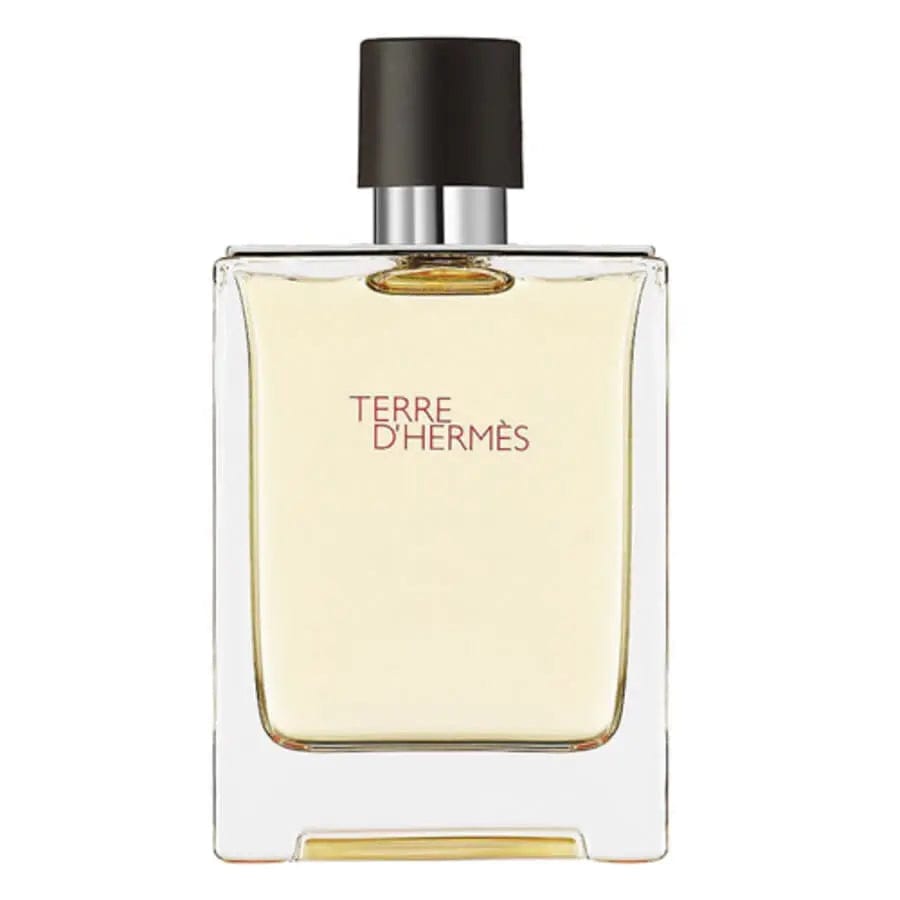 Terre Dhermes Eau Intense Vetiver By Hermes For Men 3.3 oz EDP Spray by perfumesandrea