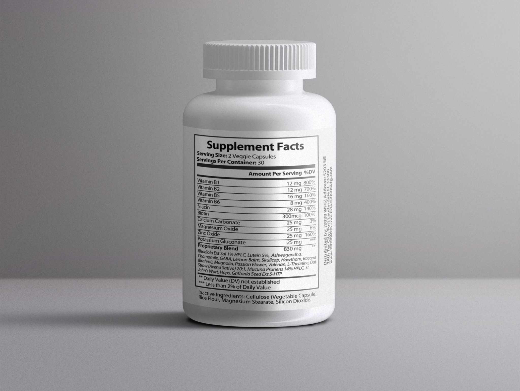 NOXALIN: Stress & Cognitive Support | 60 Capsules – L-Theanine, GABA & B-Complex for Calm Mental Clarity by 2020WFG