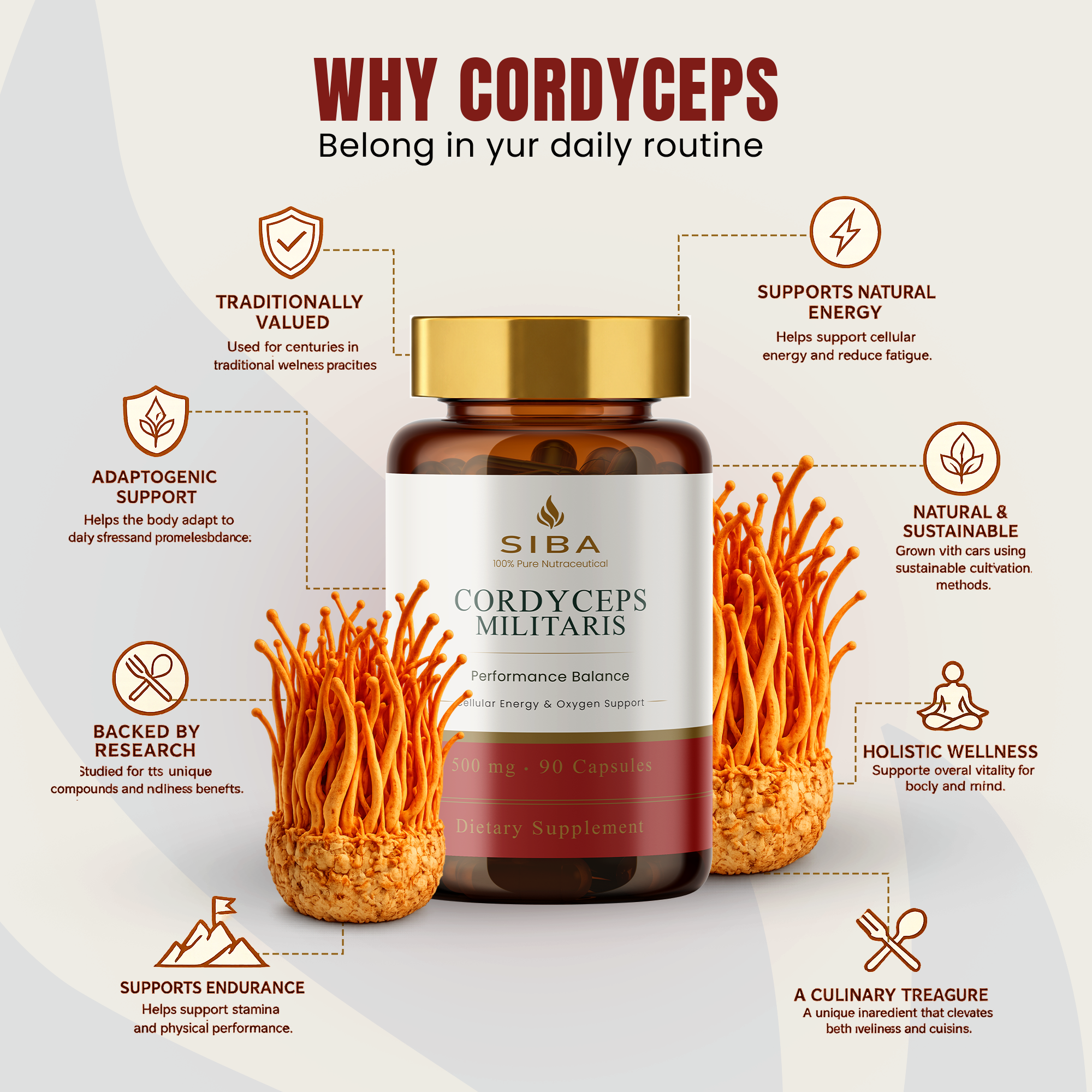 Cordyceps Militaris Mushroom Capsules by Siba Vitamins Store