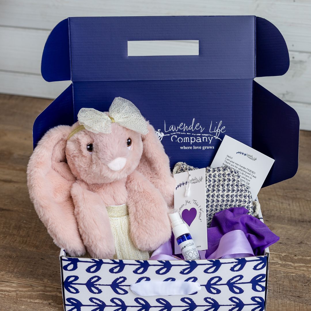 Xander Stuffed Bunny Gift Set - With Clothing & More by Lavender Life Company