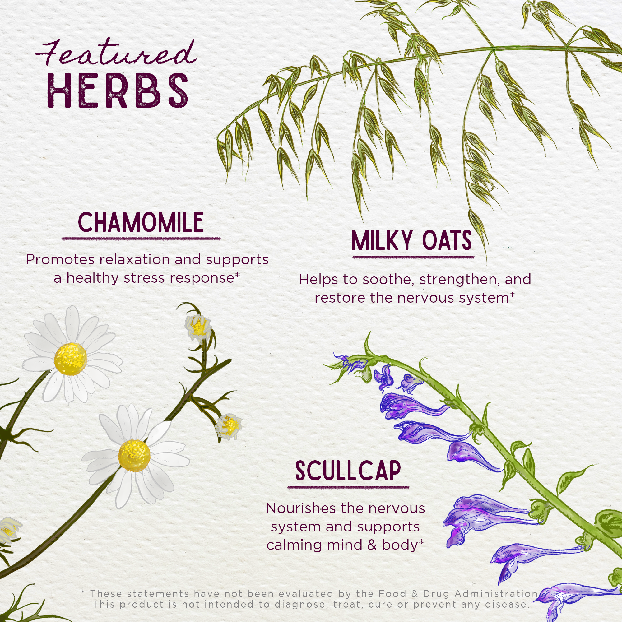 Sleepy Nights & Fresh Mornings for Pregnancy by WishGarden Herbs