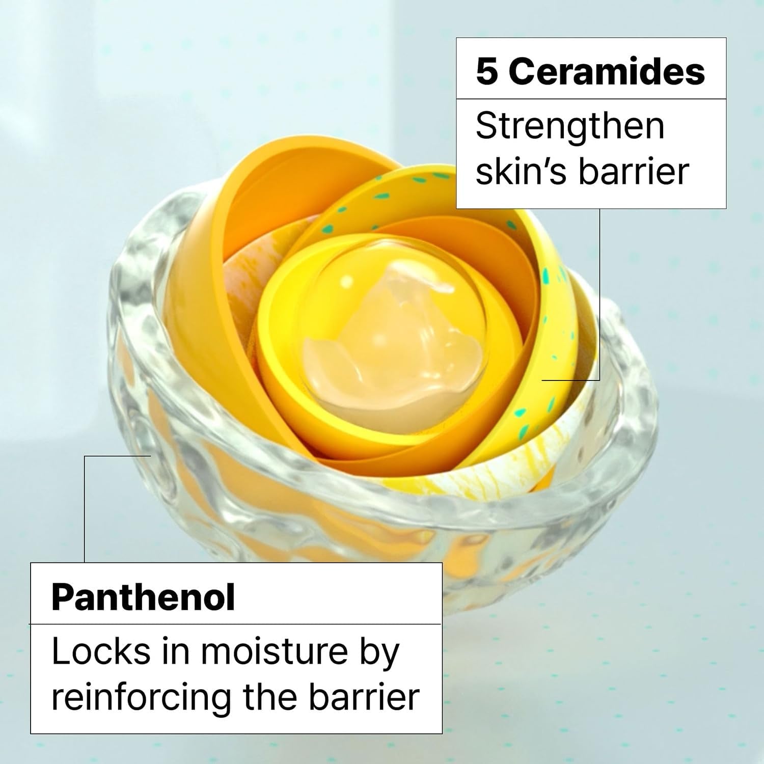 Ceramidin Skin Barrier Moisturizer Face Cream for Dry Skin with Ceramides and Panthenol | Korean Skin Care 2.53 Fl Oz by Korean Skin Care