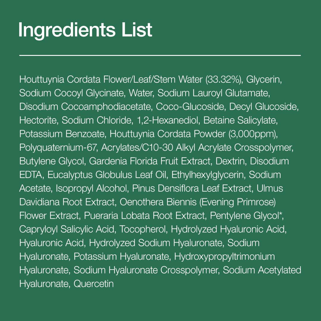 Heartleaf Quercetinol Pore Deep Cleansing Foam, Facial Cleanser, for Double Cleansing, BHA, Hyaluronic Acid, Glycerin, Face Wash, Blackhead Remover, Korean Skincare (150Ml/5.07 Fl.Oz.) by Korean Skin Care