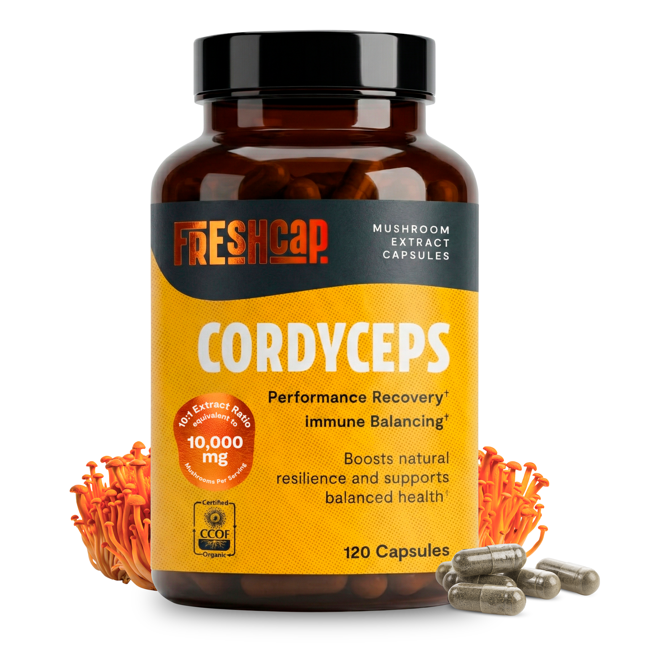 Organic Cordyceps Mushroom Supplement Capsules by FreshCap Mushrooms