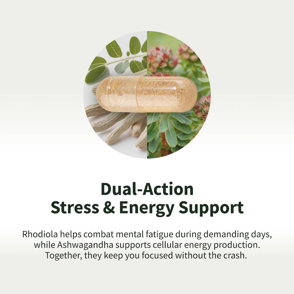 Energy & Metabolism - Buy 2 Get 1 Free by Snap Supplements