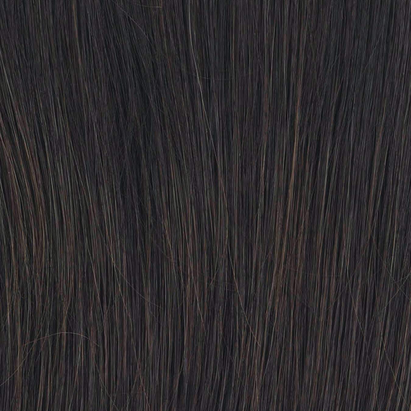 Raquel Welch Flip the Script Wig