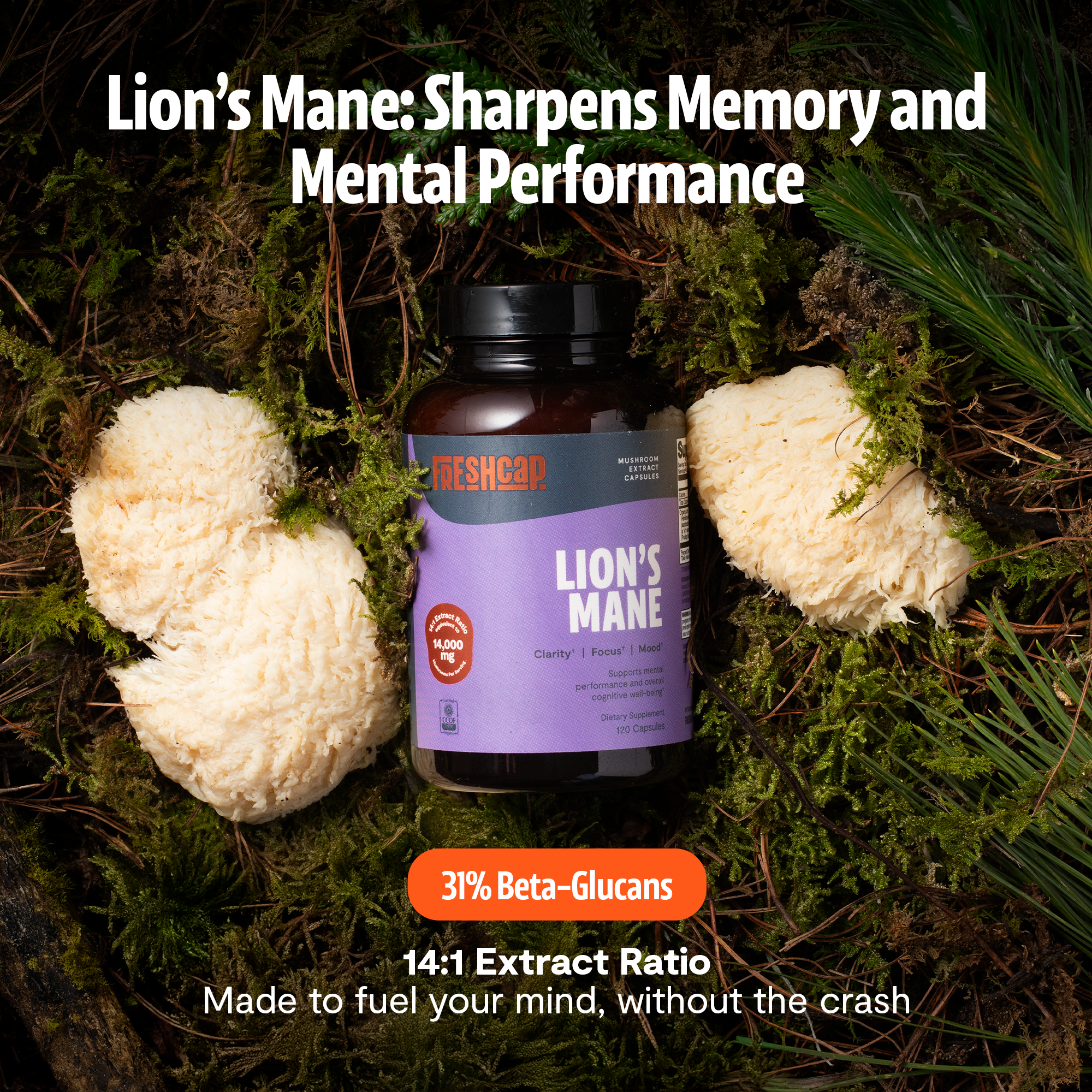 Organic Lion’s Mane Capsules by FreshCap Mushrooms