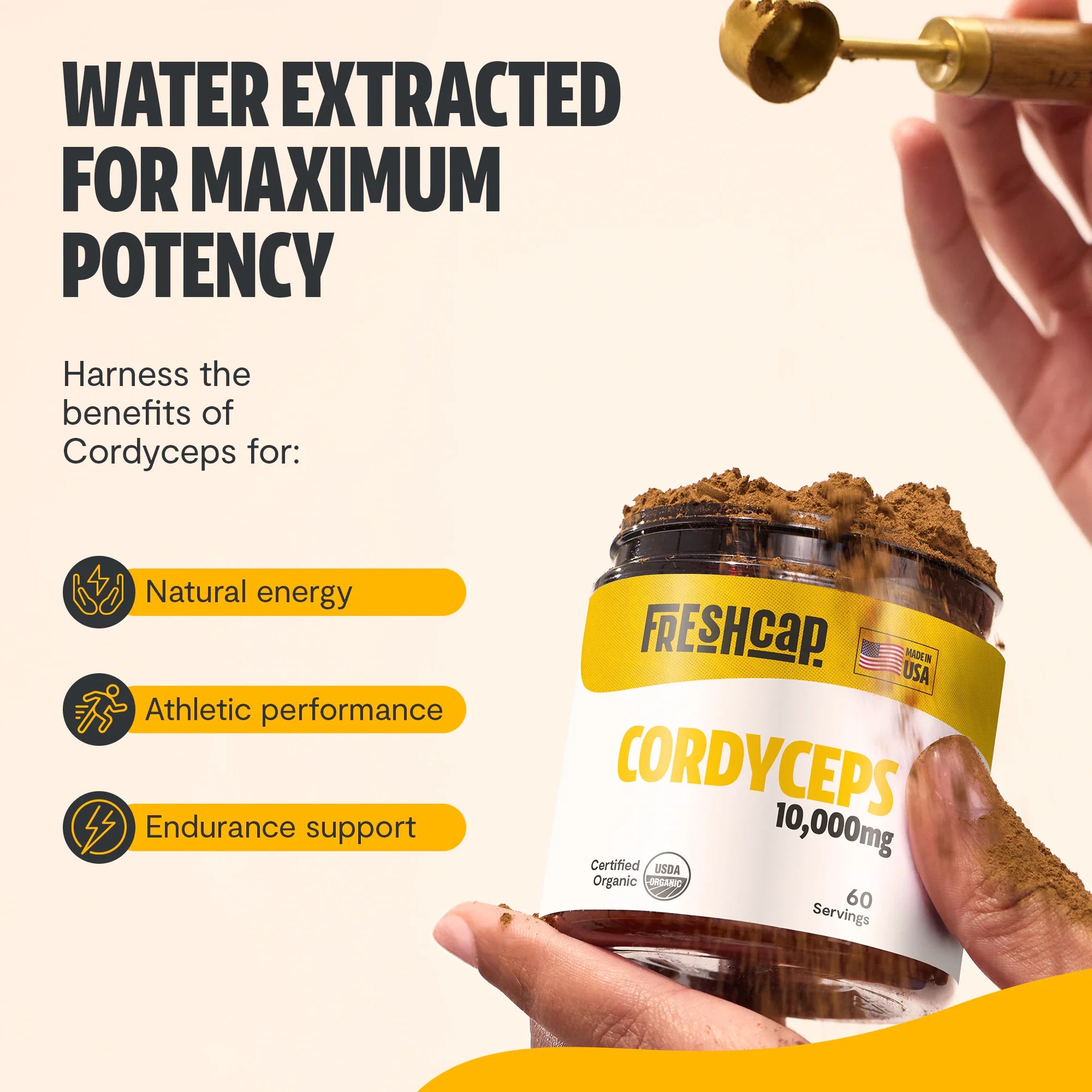 Cordyceps Mushroom Extract Powder by FreshCap Mushrooms