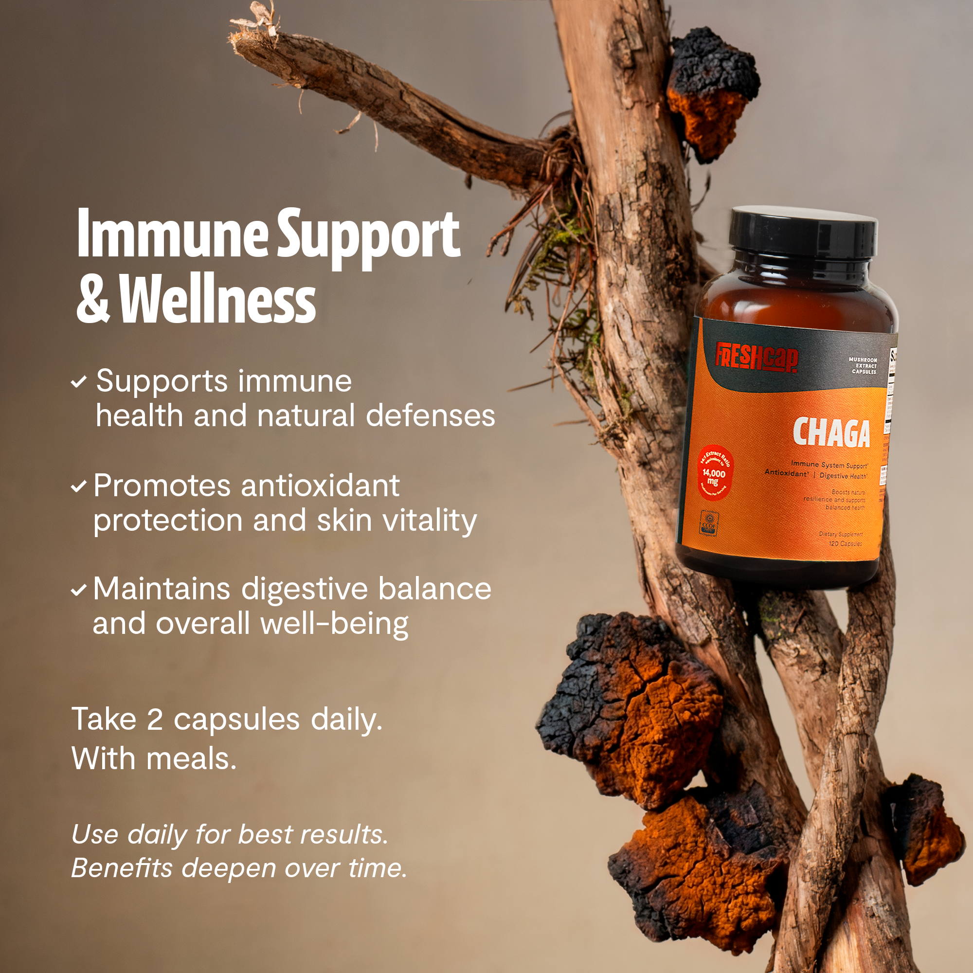 Chaga Mushroom Extract Capsules by FreshCap Mushrooms