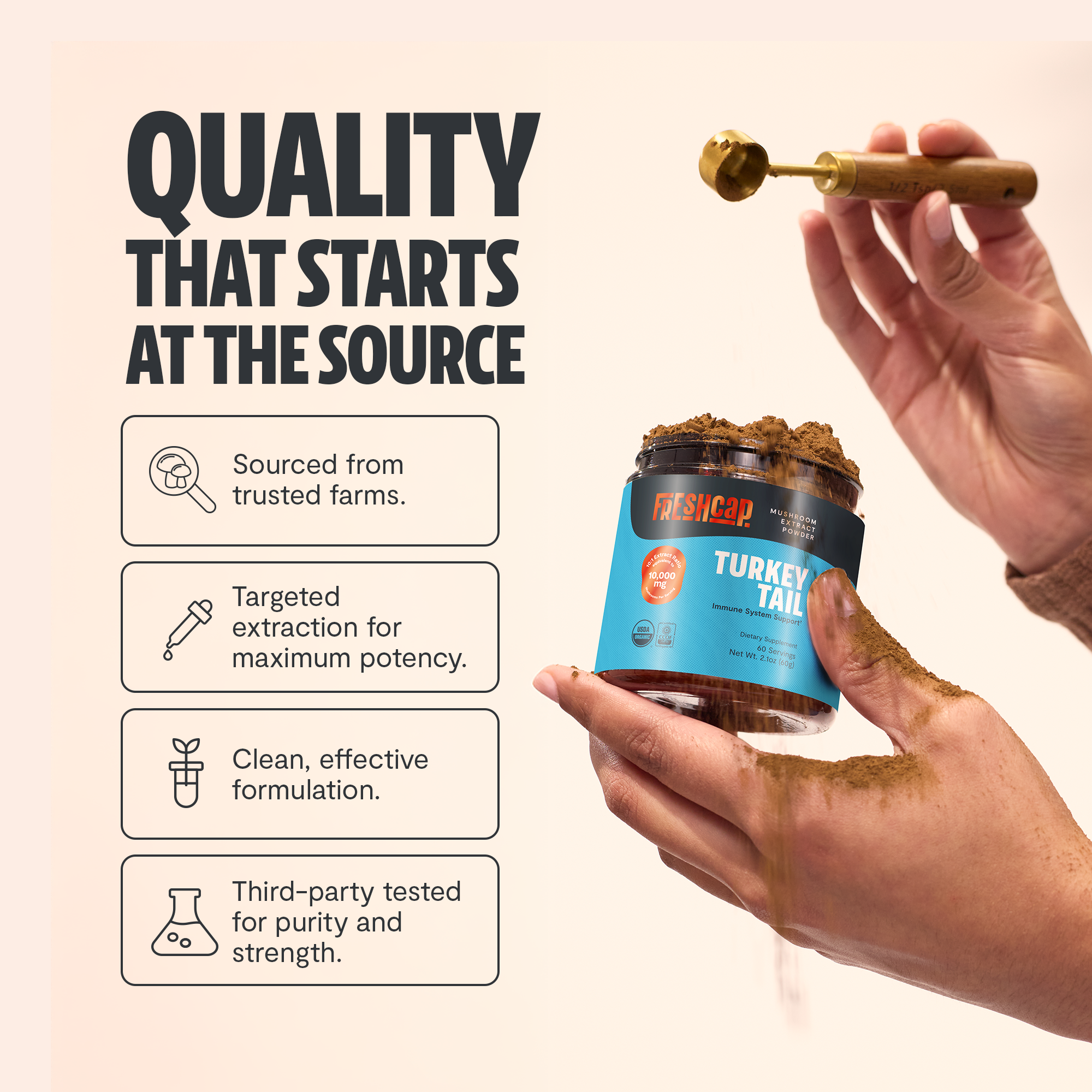 Organic Turkey Tail Mushroom Powder by FreshCap Mushrooms