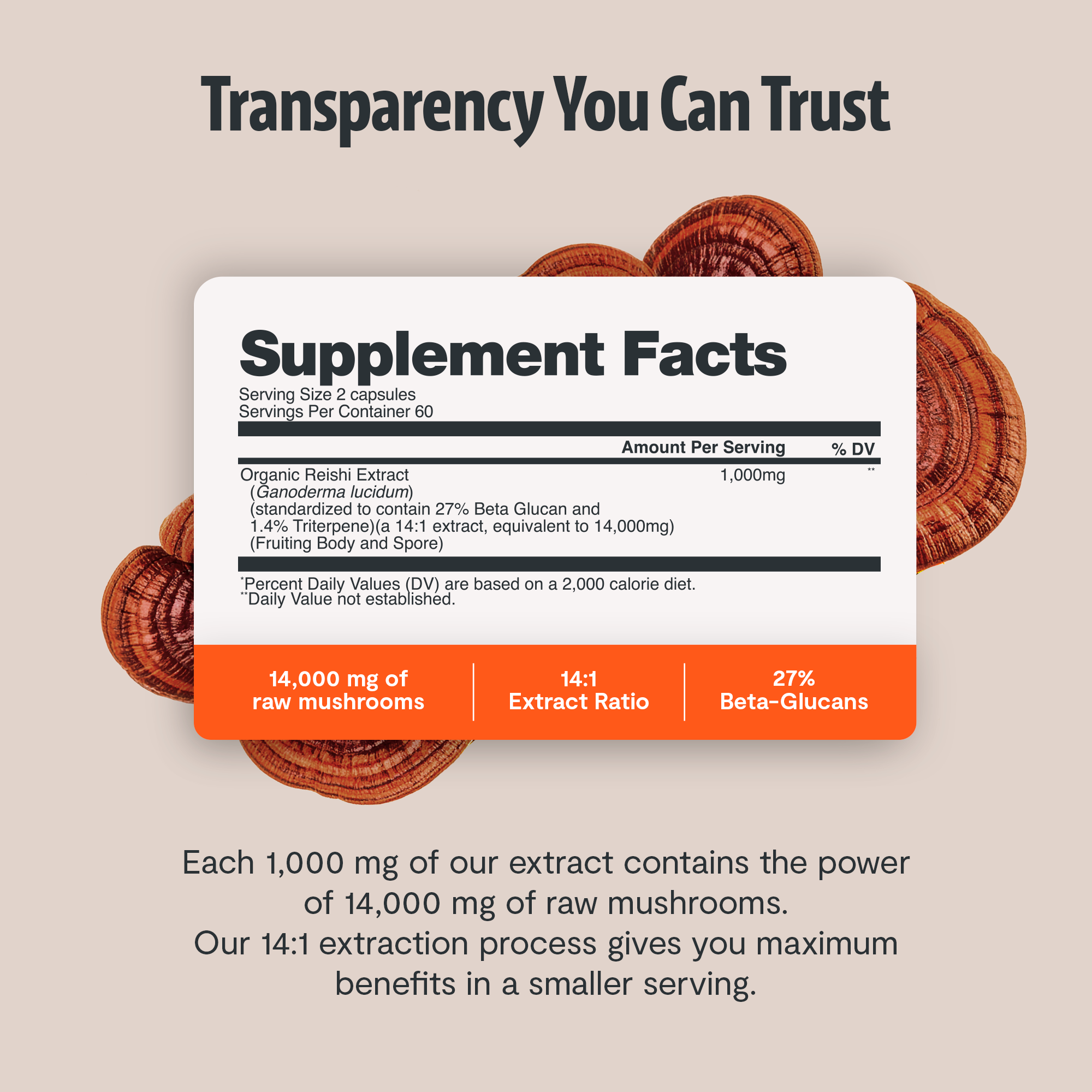 Organic Reishi Mushroom Capsules by FreshCap Mushrooms