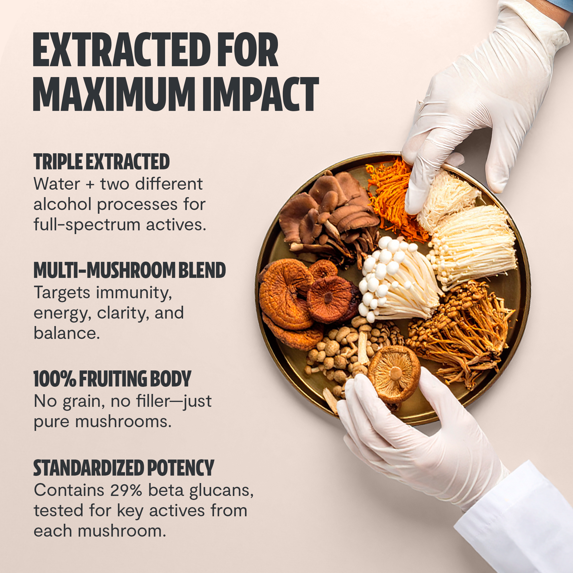 Organic Mushroom Complex Supplement Capsules by FreshCap Mushrooms