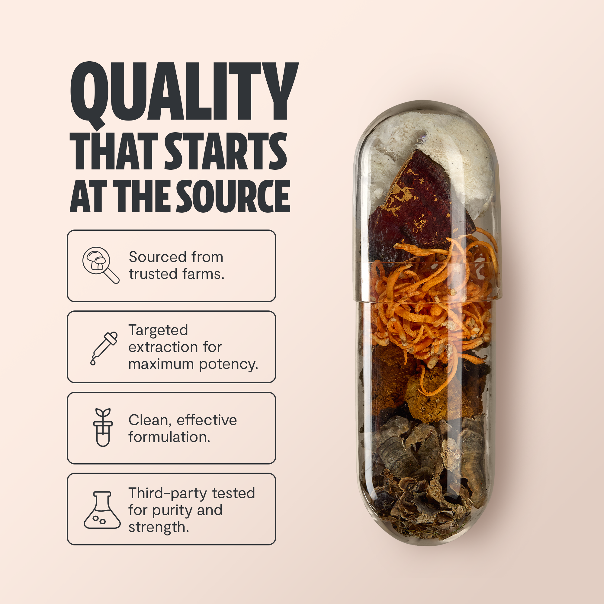 Organic Mushroom Complex Supplement Capsules by FreshCap Mushrooms
