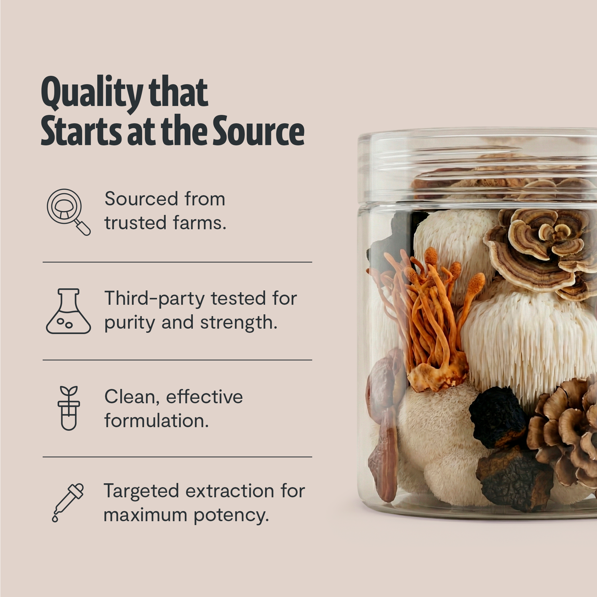 Organic Mushroom Extract Powder Blend by FreshCap Mushrooms