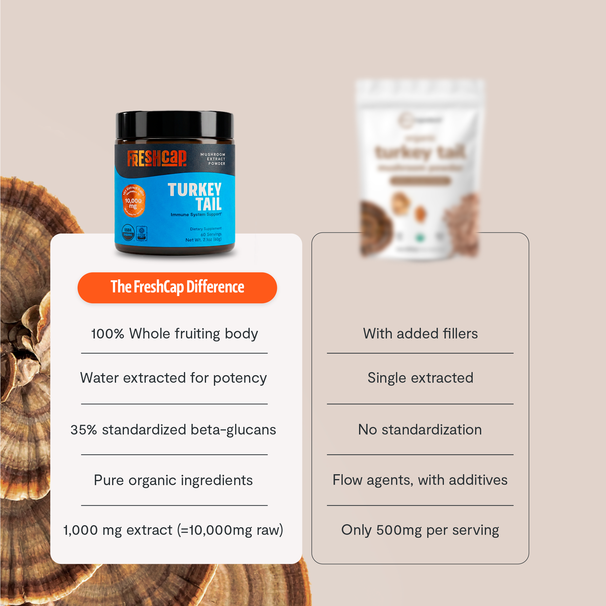 Organic Turkey Tail Mushroom Powder by FreshCap Mushrooms