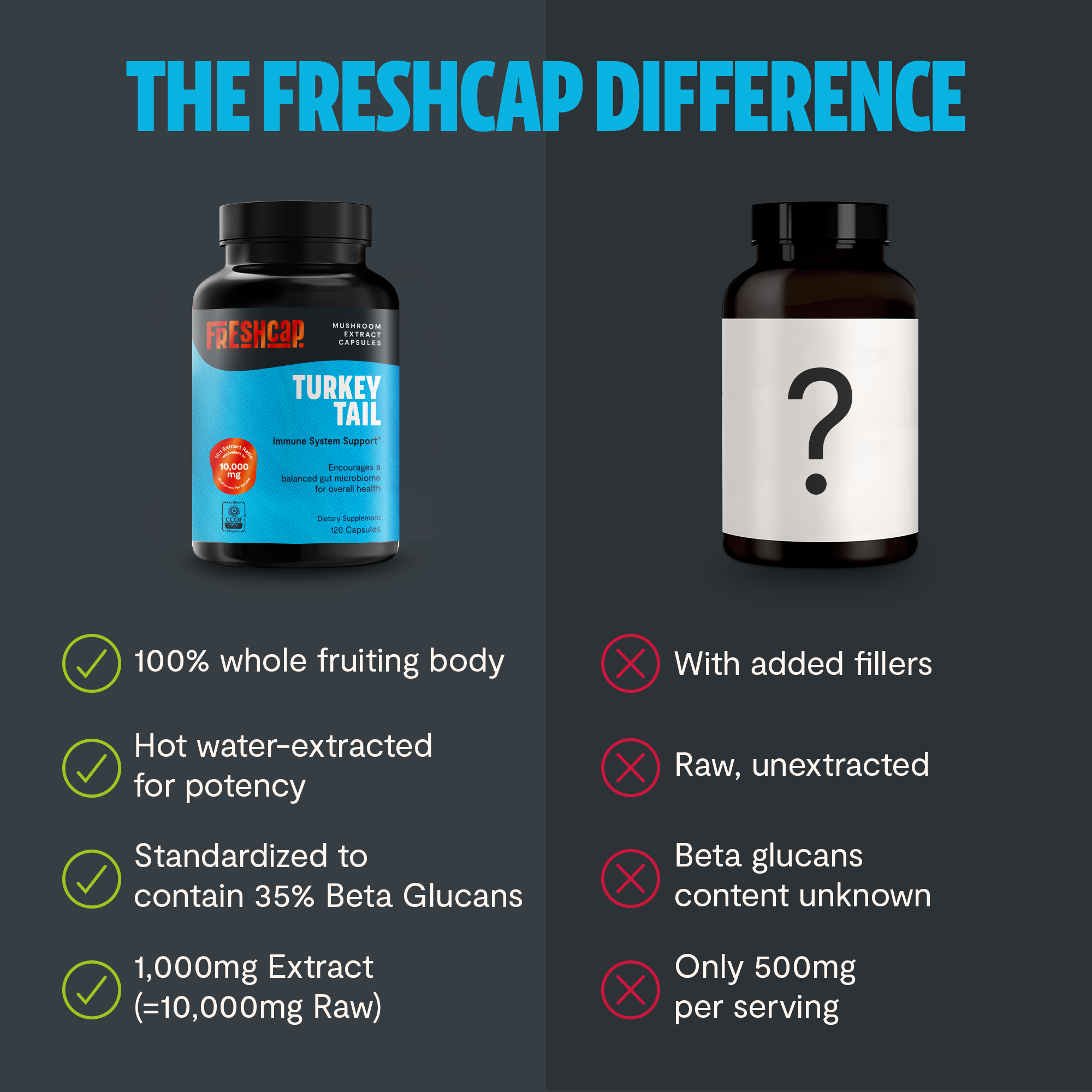 Organic Turkey Tail Mushroom Capsules by FreshCap Mushrooms
