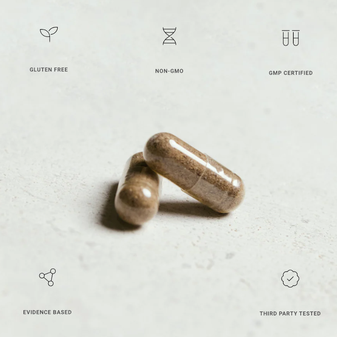 Organ+ by Molecular Provisions