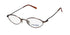 Marcolin 2031 Eyeglasses by ModaFrames