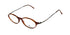 Rodenstock R5133 Eyeglasses by ModaFrames