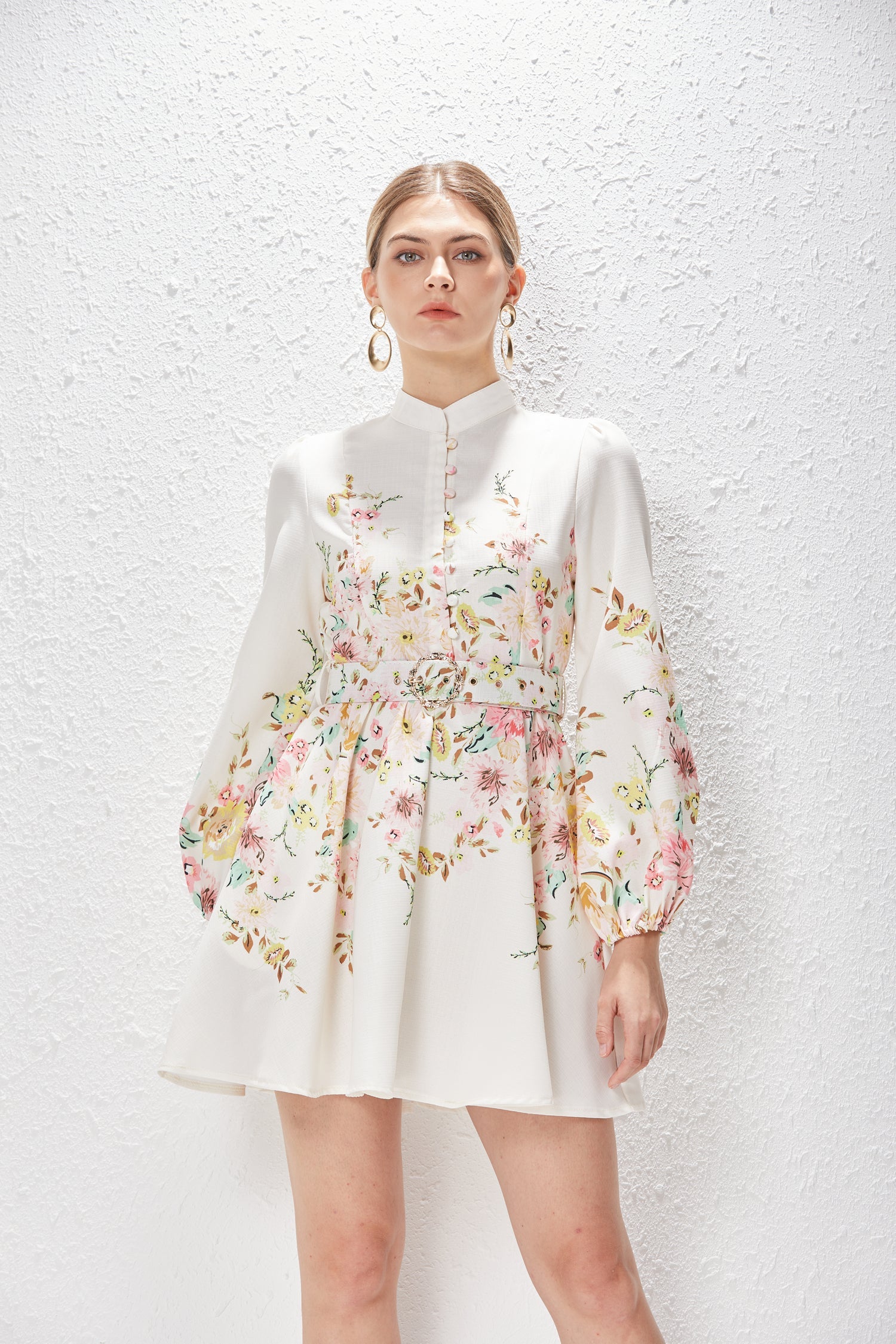 Spring Summer Stand Collar Single Breasted Lantern Sleeve Positioning Printed Dress by Ragazza