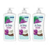 St. Ives Softening Hand & Body Lotion Coconut & Orchid, 21 Oz by Pasteur Pharmacy
