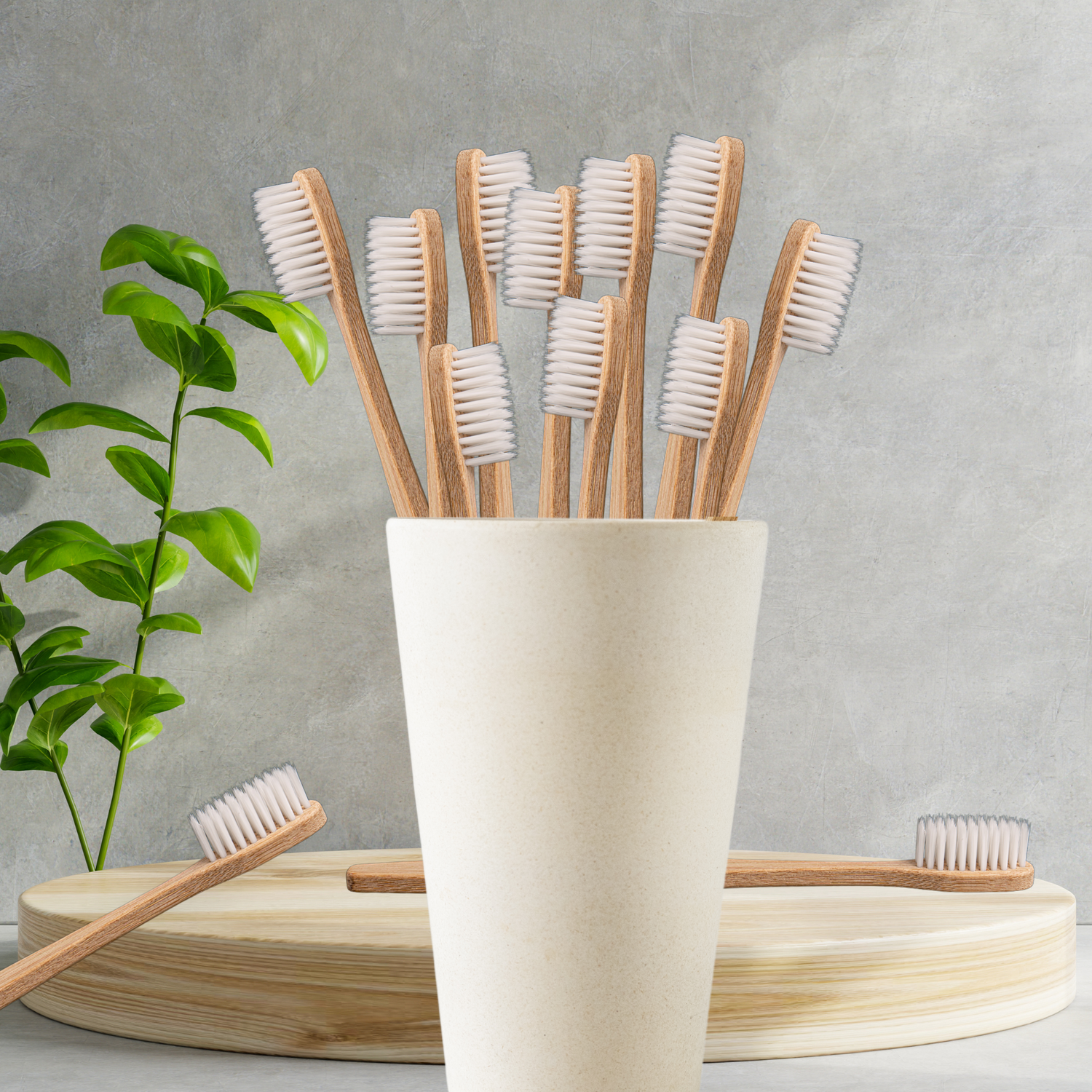Oral Care Essentials Value Bundles by Hippotanicals