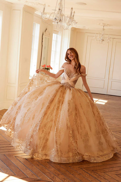 Juliet JT1488H Royal Princess A-Line Ball Gown Quinceanera by DiscountDressShop