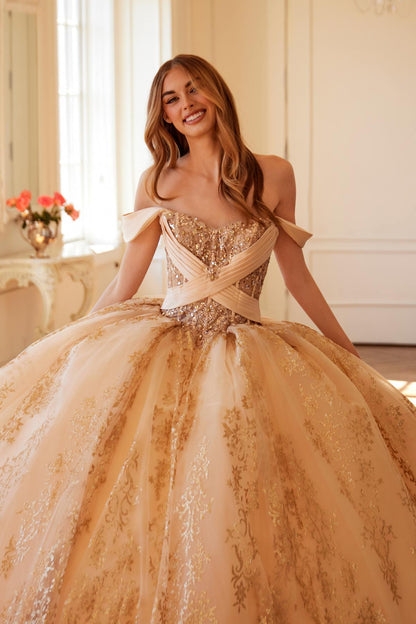 Juliet JT1488H Royal Princess A-Line Ball Gown Quinceanera by DiscountDressShop