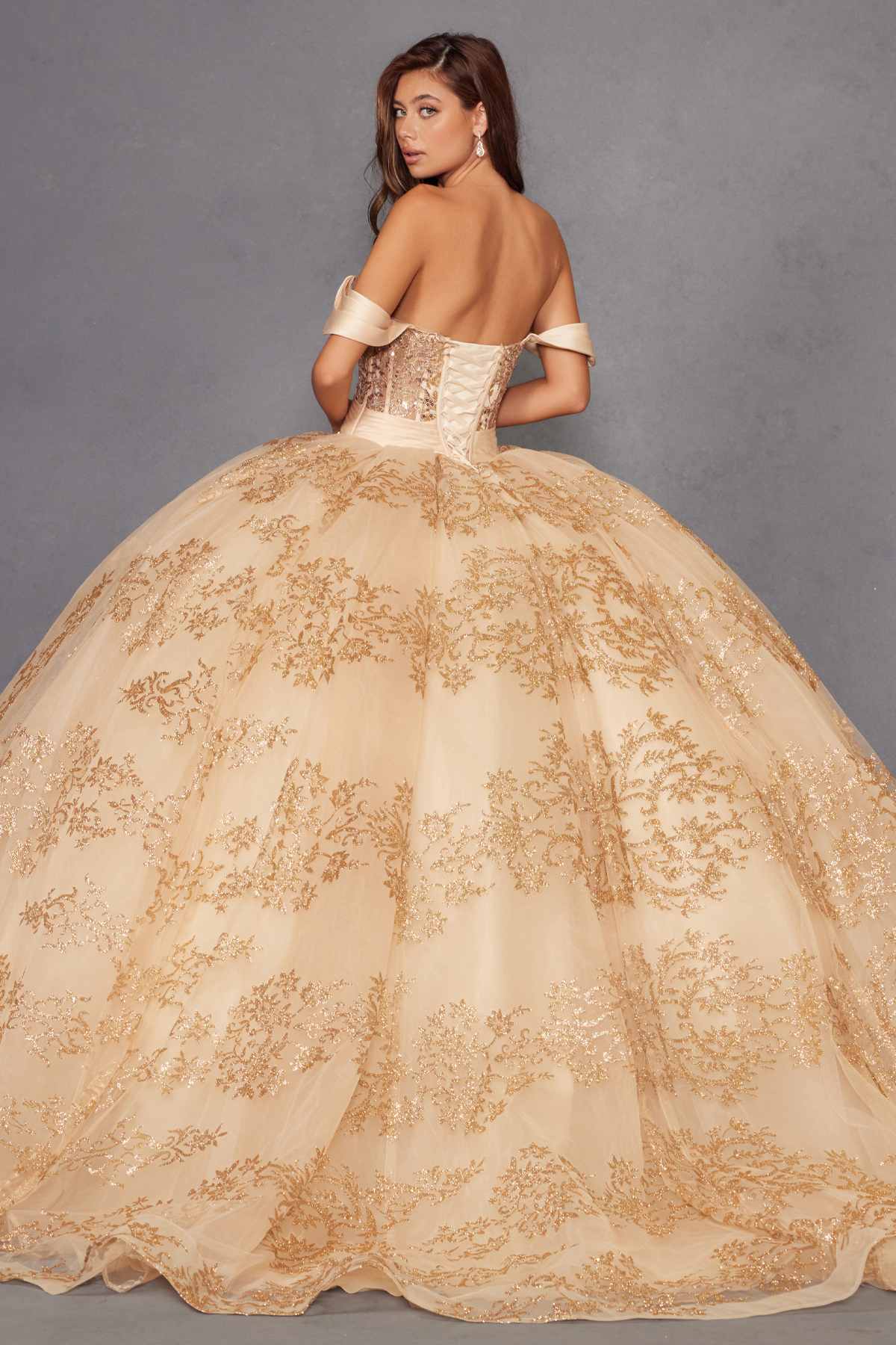 Juliet JT1488H Royal Princess A-Line Ball Gown Quinceanera by DiscountDressShop