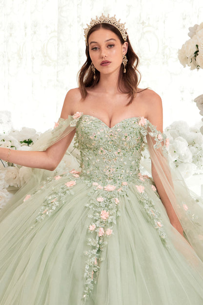 Ladivine 15716 Poofy Princess A-Line Ballgown Off Shoulder Cap Sleeve by DiscountDressShop