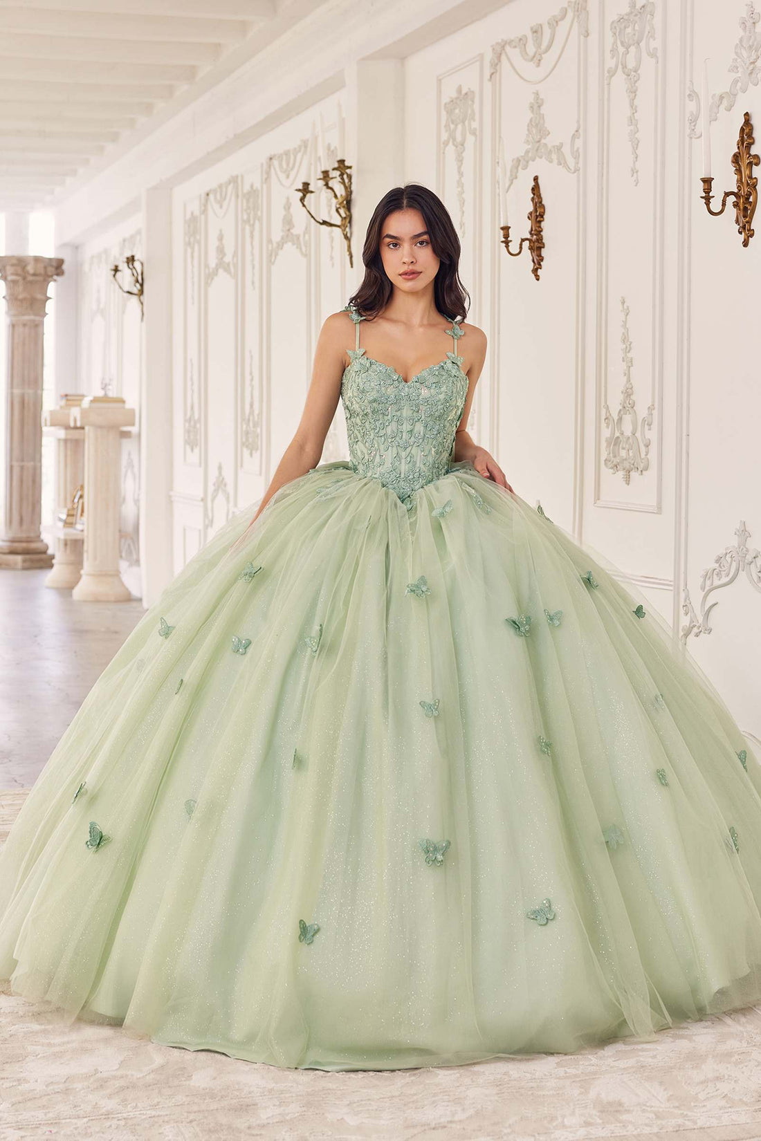 Ladivine 15718 Long Princess Layered Tulle 3D Applique Ball Gown by DiscountDressShop