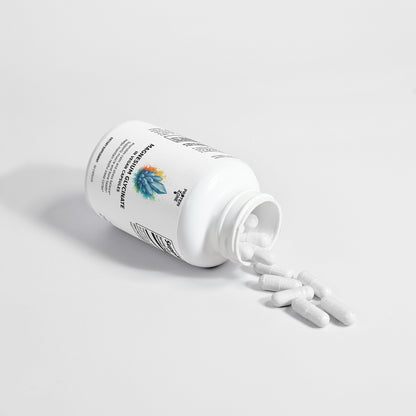 Magnesium Glycinate | High-Absorption Muscle &amp; Sleep Support by Protein Zone
