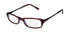 Thalia Aventura Eyeglasses by ModaFrames