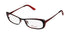 Thalia Canela Eyeglasses by ModaFrames