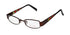 Thalia Pasion Eyeglasses by ModaFrames