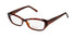Thalia Amalia Eyeglasses by ModaFrames