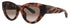 Roberto Cavalli Src009m Eyeglasses by ModaFrames