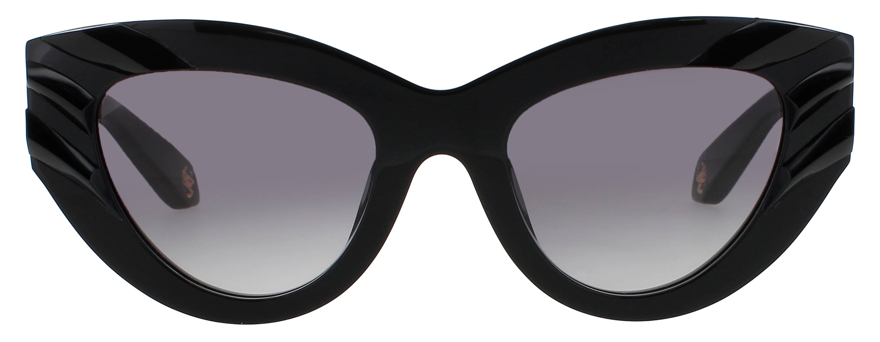 Roberto Cavalli Src009v Eyeglasses by ModaFrames