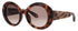 Roberto Cavalli Src010m Eyeglasses by ModaFrames