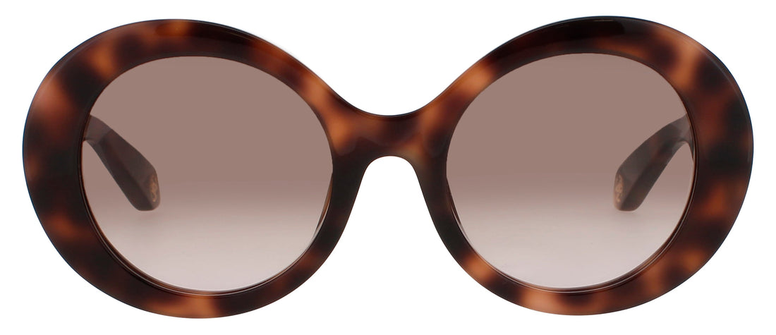 Roberto Cavalli Src010m Eyeglasses by ModaFrames
