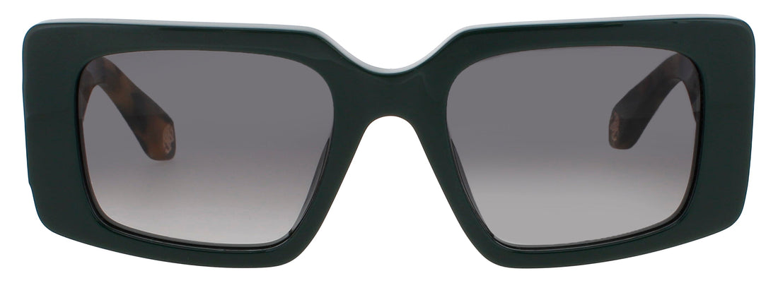 Roberto Cavalli Src039m Eyeglasses by ModaFrames
