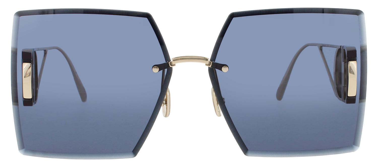 Dior Cd40101u Sunglasses by ModaFrames
