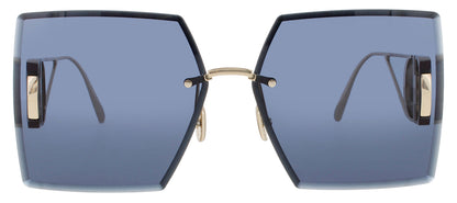 Dior Cd40101u Sunglasses by ModaFrames