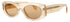 Fendi Fe40125i Sunglasses by ModaFrames
