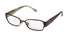Lilly Pulitzer Sophia Eyeglasses by ModaFrames