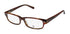 Original Penguin The Clemens Eyeglasses by ModaFrames